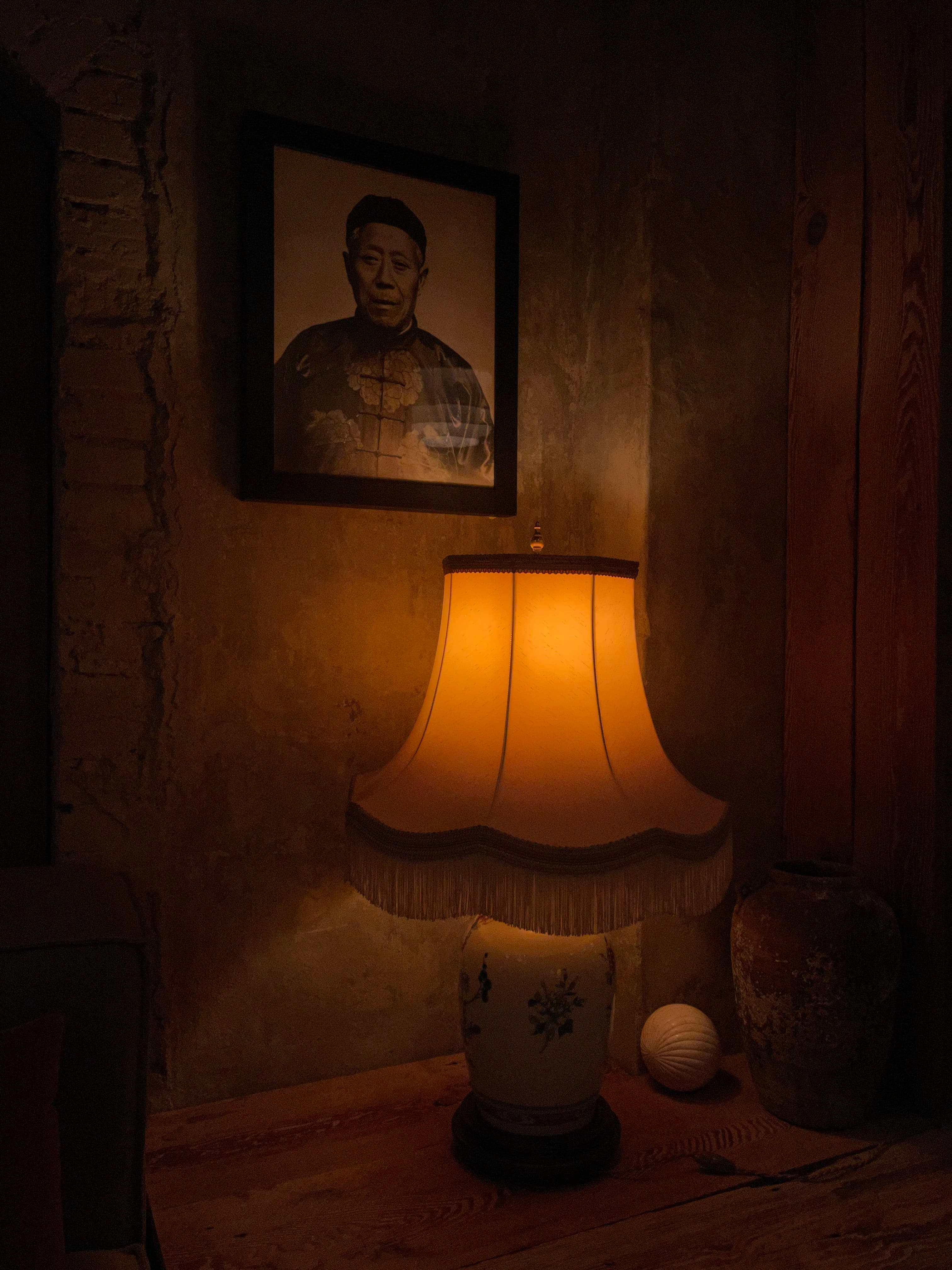 Bambou, photo 7