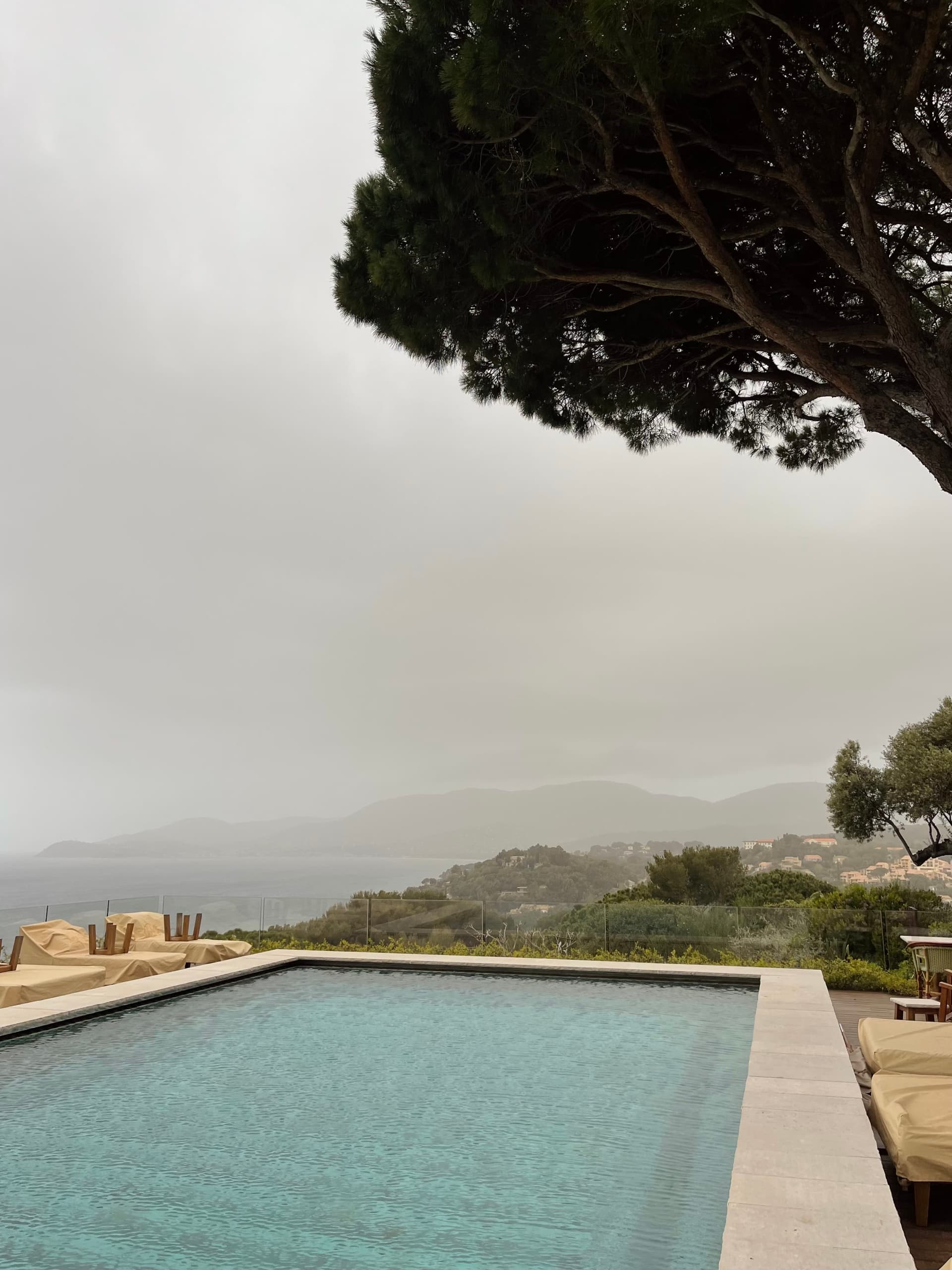 Vista - Lily of the Valley, photo 5